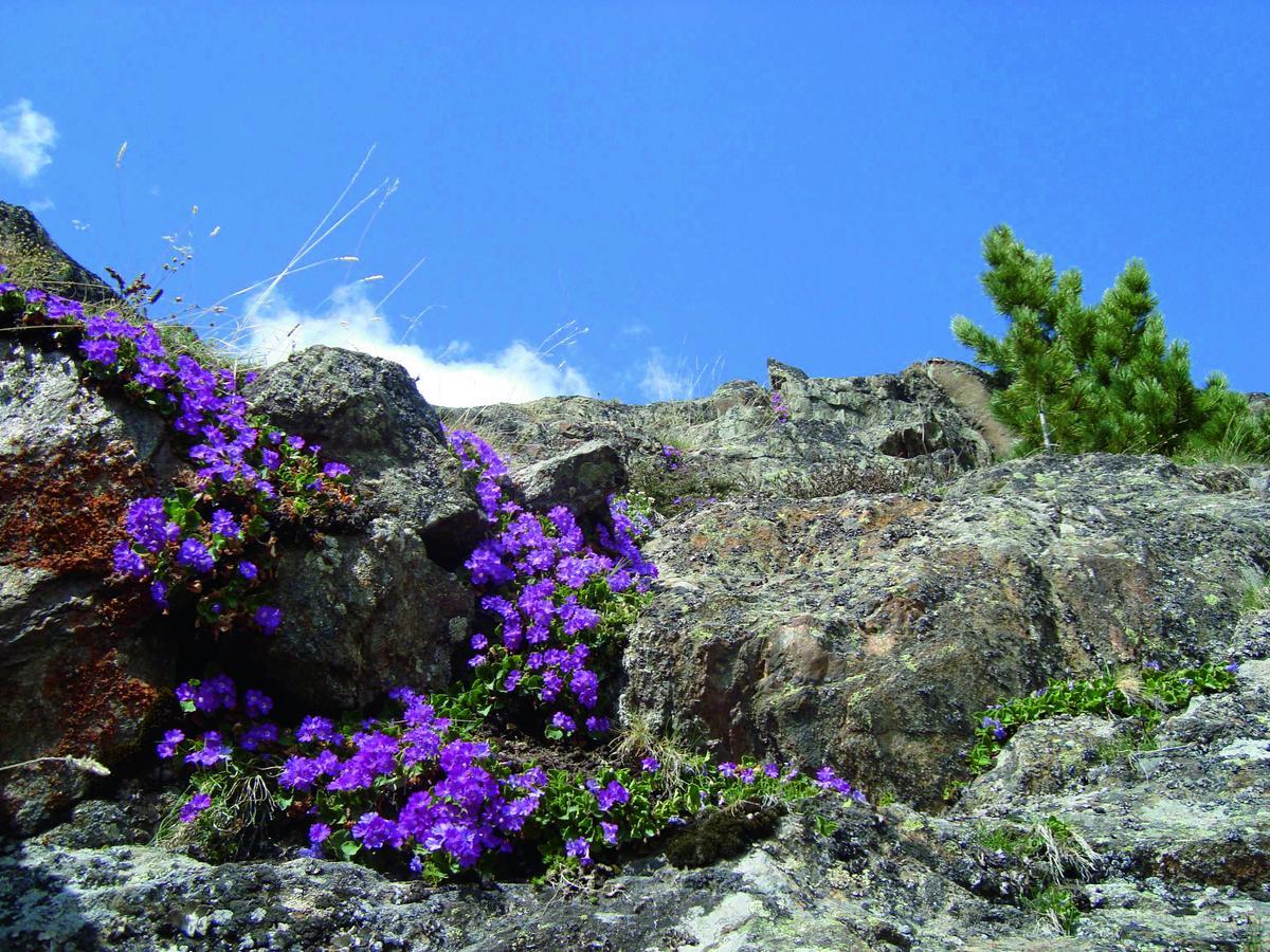 Gasthof Geierwallihof Vent Εξωτερικό φωτογραφία
