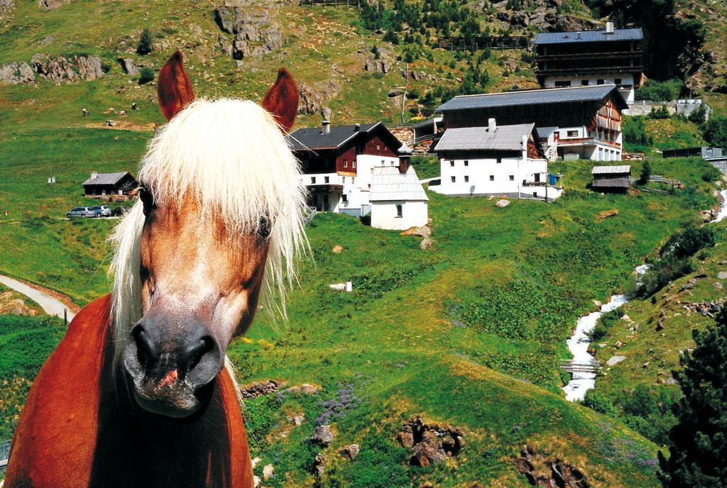 Gasthof Geierwallihof Vent Εξωτερικό φωτογραφία